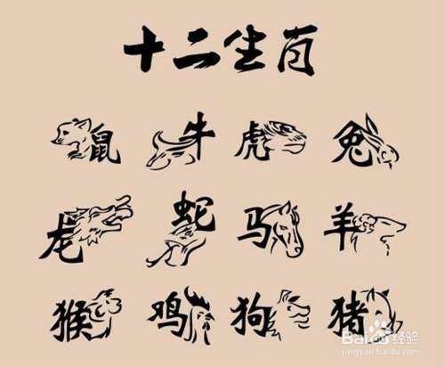 中国語 今年は何年 干支 青島日美外語専修学校 中国短期語学留学や中国語オンラインレッスンをご用意しています